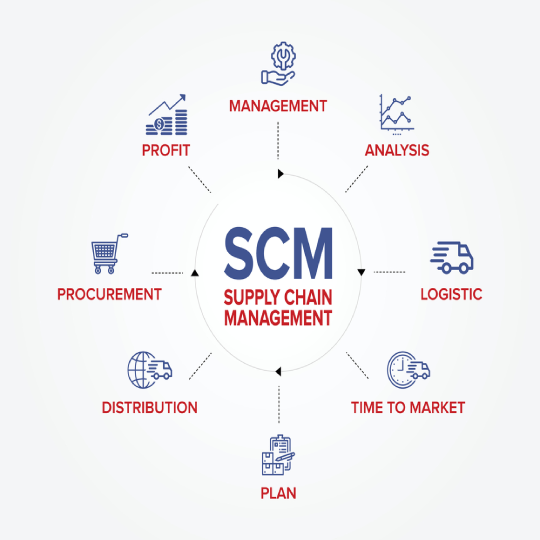 Supply Chain Optimization and ERP Consultancy